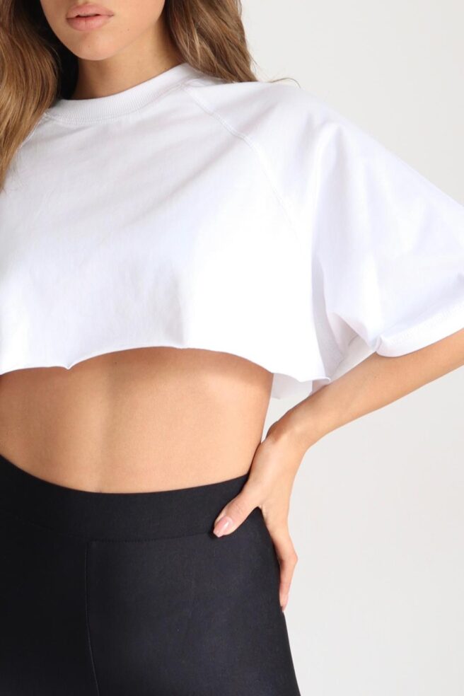 39ff66f1 41c6 4ee0 812f Dff2ce486755