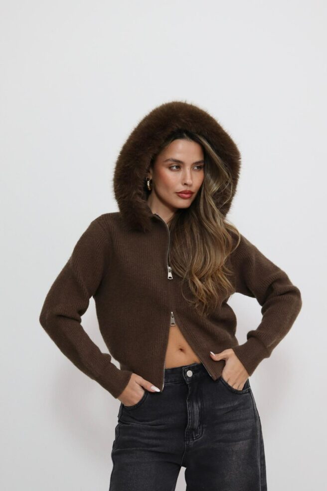 4215d1bf 84ac 477c A20d Dc54ffa15631