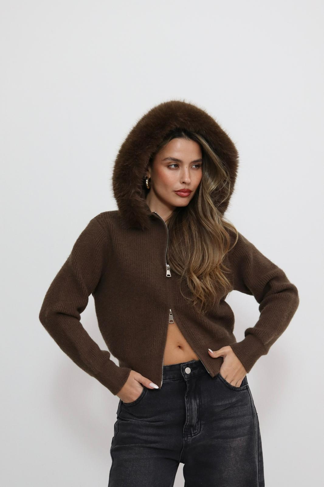 4215d1bf 84ac 477c A20d Dc54ffa15631